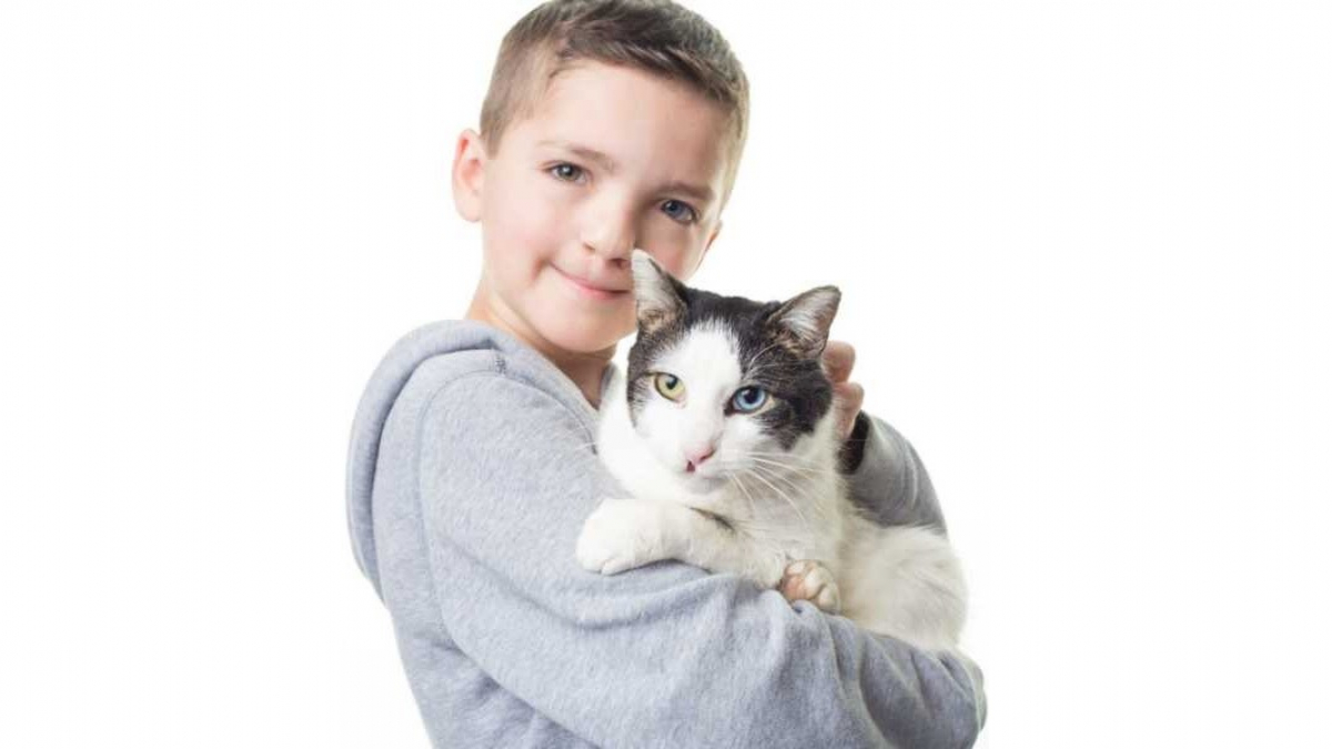 Illustration : "Un garçon de 7 ans harcelé et gêné par son apparence reprend confiance grâce à l'adoption d'un chat qui lui ressemble !"