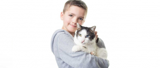 Illustration : "Un garçon de 7 ans harcelé et gêné par son apparence reprend confiance grâce à l'adoption d'un chat qui lui ressemble !"
