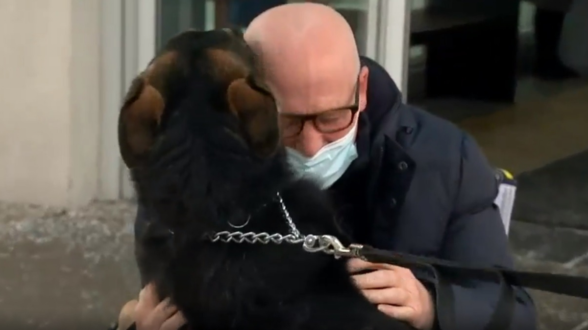 Illustration : "Les émouvantes retrouvailles entre l'homme et son chien qui lui sauvé la vie alors qu'il faisait un AVC (vidéo)"