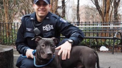 Illustration : Un agent de police trouve un chien enchaîné à une clôture et lui offre le plus beau cadeau !