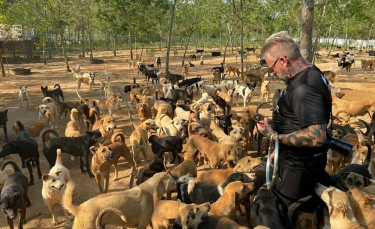 Illustration : "Un homme crée et offre un refuge à plus de 2000 chiens et chats handicapés pour leur offrir l'aide et les soins nécessaires !"