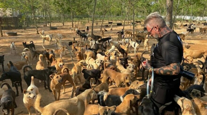Illustration : Un homme crée et offre un refuge à plus de 2000 chiens et chats handicapés pour leur offrir l'aide et les soins nécessaires !