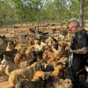 Illustration : Un homme cr&eacute;e et offre un refuge &agrave; plus de 2000 chiens et chats handicap&eacute;s pour leur offrir l'aide et les soins n&eacute;cessaires !
