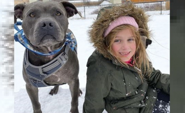 Illustration : "La fille d’un policier décédé récemment honore sa mémoire en sponsorisant l'adoption d'un chien « non-adoptable »"