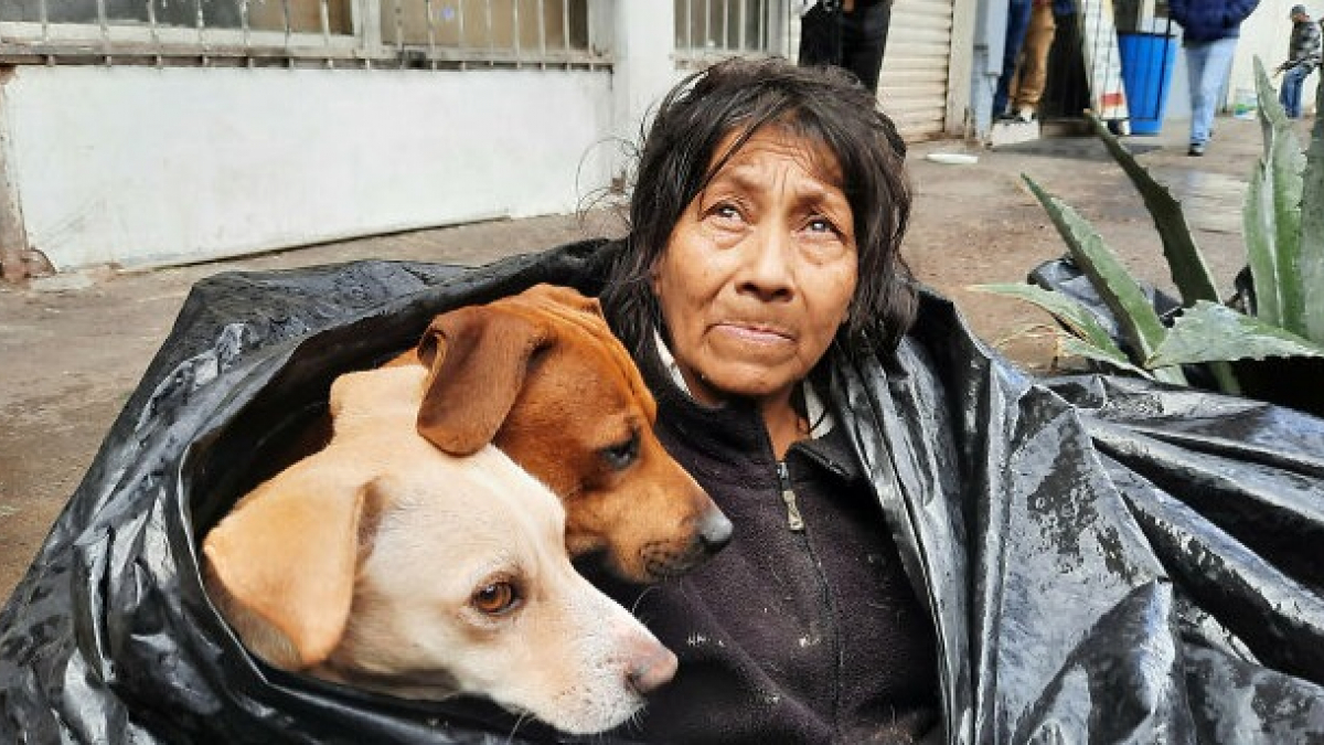 Illustration : "Une femme sans-abri découverte avec ses 6 chiens dans un sac poubelle refuse d'aller dans un refuge si ses animaux ne sont pas acceptés"