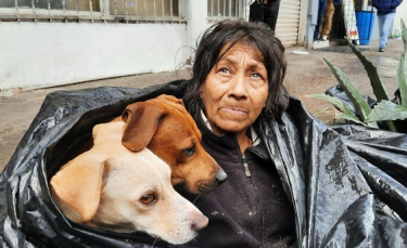 Illustration : "Une femme sans-abri découverte avec ses 6 chiens dans un sac poubelle refuse d'aller dans un refuge si ses animaux ne sont pas acceptés"