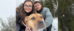 Illustration : "Une chienne en phase terminale d'un cancer réalise tous ses rêves dans ses derniers mois de vie avec ses propriétaires"