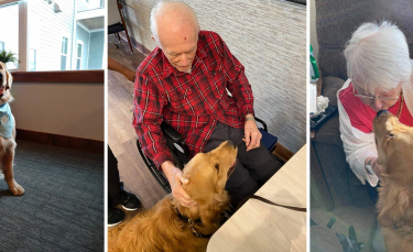 Illustration : "Un chien rend visite aux pensionnaires d'une résidence seniors pour combattre l'ennui et l'isolement"