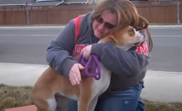 Illustration : "Une mère d'accueil pleure pendant 4 jours à l'idée de se séparer d'un chien, mais sa vie change à tout jamais lorsqu'elle tente d'appeler l'adoptant (vidéo)"