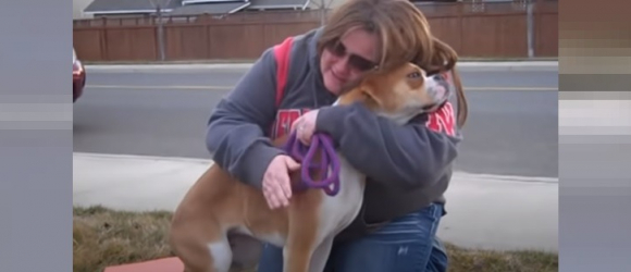 Illustration : "Une mère d'accueil pleure pendant 4 jours à l'idée de se séparer d'un chien, mais sa vie change à tout jamais lorsqu'elle tente d'appeler l'adoptant (vidéo)"