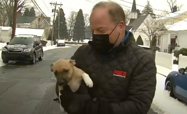 Illustration : "Un envoyé spécial stoppe son direct pour un moment câlin et insolite avec un chiot qui accourt vers lui (vidéo)"