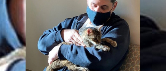 Illustration : "Disparu il y a 15 ans, un chat a été retrouvé grâce à sa puce à 65 km de chez lui"