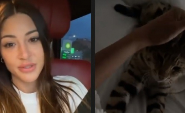 Illustration : "Alix a retrouvé Rajah, son chat Savannah ! Soulagée, la star de télé-réalité partage son bonheur sur les réseaux (vidéo)"