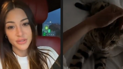 Illustration : Alix a retrouvé Rajah, son chat Savannah ! Soulagée, la star de télé-réalité partage son bonheur sur les réseaux (vidéo)