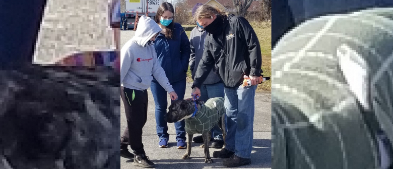 Illustration : "Ethan, le chien retrouvé affamé sur un parking a rencontré la famille qui l'a sauvé !"
