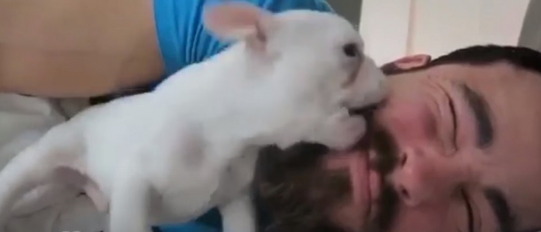 Illustration : "Cet homme et son chiot ont trouvé une méthode de réveil unique qui va vous rendre envieux (vidéo)"