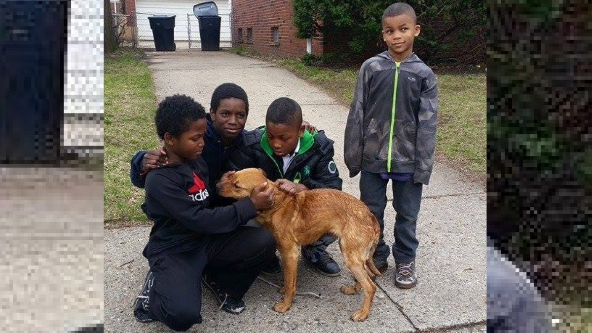 Illustration : "4 petits garçons tentent d'aider un chien ligoté avec un cordon élastique en attendant les secours"