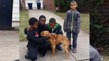 Illustration : 4 petits garçons tentent d'aider un chien ligoté avec un cordon élastique en attendant les secours
