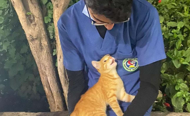 Illustration : "Un chat errant réconforte un infirmier pendant sa pause, épuisé par la pandémie du Covid-19"