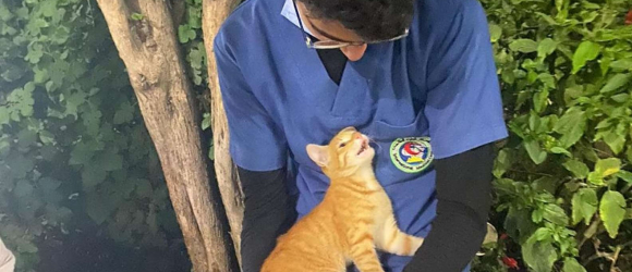 Illustration : "Un chat errant réconforte un infirmier pendant sa pause, épuisé par la pandémie du Covid-19"