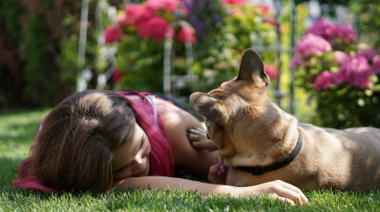Illustration : Avoir un chien sur votre photo de profil augmenterait vos chances sur les applications de rencontres comme Tinder