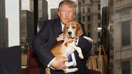 Illustration : L'apparition surprise de Donald Trump à un événement caritatif pour une association de sauvetage de chiens fait polémique
