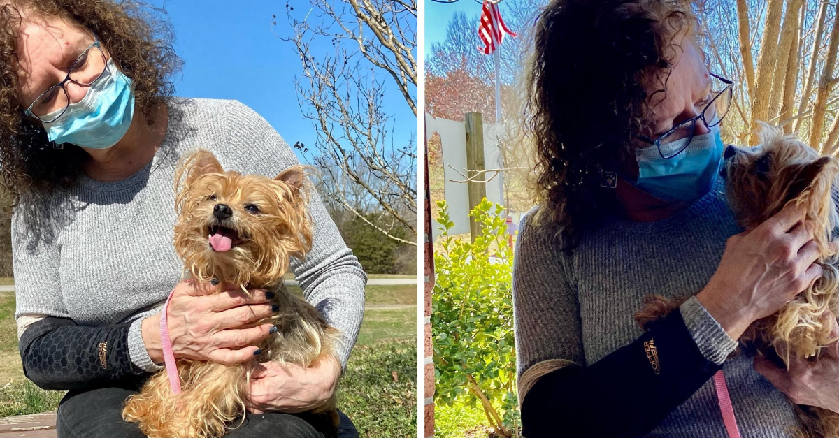 13 ans après le vol de leur chien dans leur cour, ils reçoivent un 