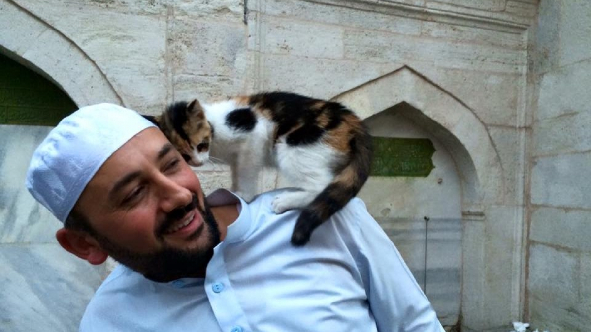 Illustration : "Un imam ouvre les portes de sa mosquée aux chats errants. 5 ans plus tard, il ne pensait pas que son histoire prendrait un tel tournant"