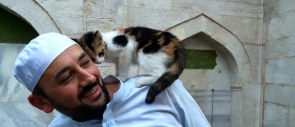 Illustration : "Un imam ouvre les portes de sa mosquée aux chats errants. 5 ans plus tard, il ne pensait pas que son histoire prendrait un tel tournant"