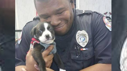 Illustration : Ce policier a pris sa décision dès qu’on lui a présenté un chiot abandonné dans le froid