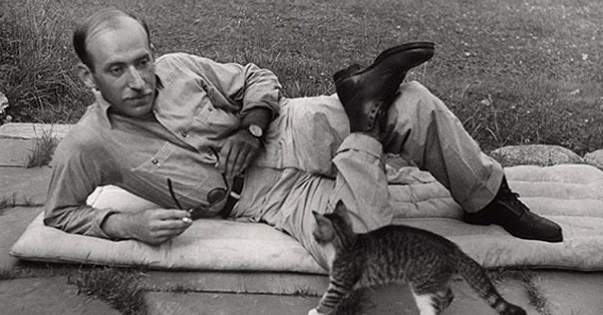 17 Artistes Celebres Posant Avec Leurs Chats