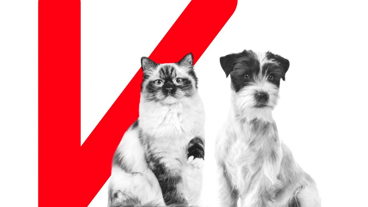 Illustration : "Royal Canin innove avec Individualis : une solution de nutrition sur mesure pour vos animaux de compagnie"