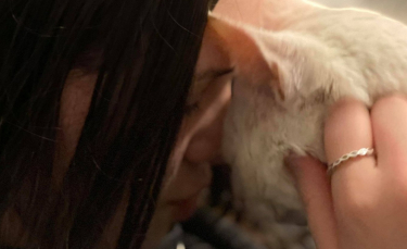 Illustration : "Une enfant perd son chat et pleure pendant des semaines. 3 ans plus tard, la puce d'identification a parlé"