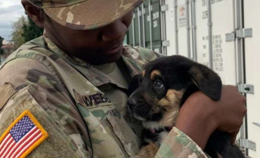 Illustration : "Un militaire adopte un chiot lors de son déploiement et demande l'aide d'une association pour le rapatrier chez lui dans son pays"
