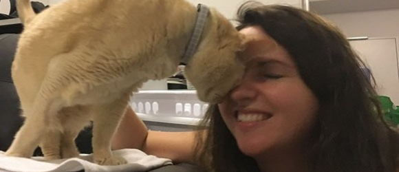 Illustration : "Âgé de 13 ans, ce chat ne peut pas s’endormir sans tenir la main de sa nouvelle propriétaire !"