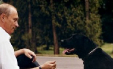 Illustration : "16 propriétaires célèbres de Labrador-Retrievers"
