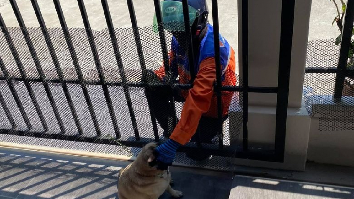 Illustration : "Une femme passe des commandes inutiles afin de réunir son chien et son livreur préféré"