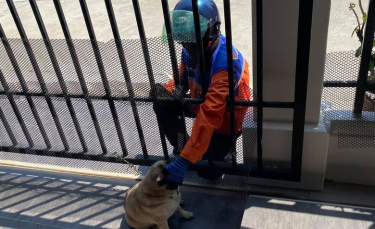 Illustration : "Une femme passe des commandes inutiles afin de réunir son chien et son livreur préféré"
