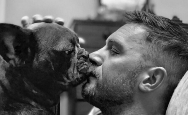 Illustration : "20 stars qui partagent leurs moments de tendresse avec leurs chiens"