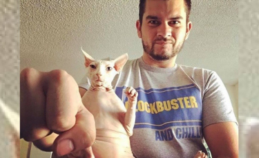 Illustration : "Plus de 6000 euros récoltés pour soigner un chat Sphynx souffrant d’une maladie cardiaque"