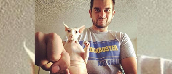 Illustration : "Plus de 6000 euros récoltés pour soigner un chat Sphynx souffrant d’une maladie cardiaque"