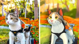 Illustration : 14 dessins montrant la beauté unique d’animaux « imparfaits »