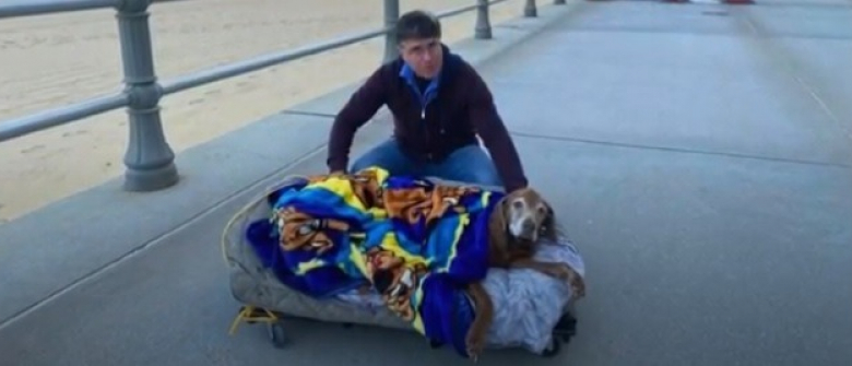 Illustration : "Un homme construit un lit sur roulettes à son chien vieillissant afin qu'il profite de ses derniers jours"
