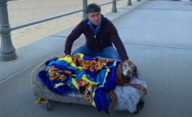 Illustration : "Un homme construit un lit sur roulettes à son chien vieillissant afin qu'il profite de ses derniers jours"