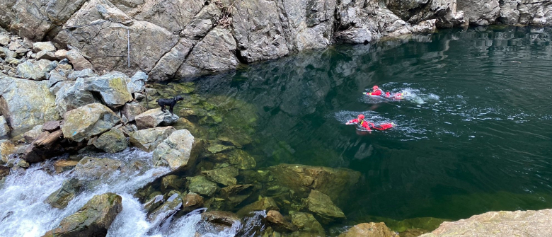 Illustration : "Des pompiers traversent l’eau glacée d’une rivière à Vancouver pour tenter de sauver un chien échoué dangereusement près des rapides"