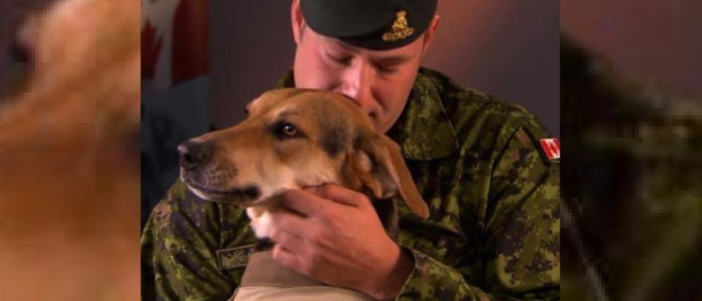 Illustration : "Un vétéran de guerre fait des adieux émouvants à son chien d'assistance qui l'aidait à combattre le stress post-traumatique"
