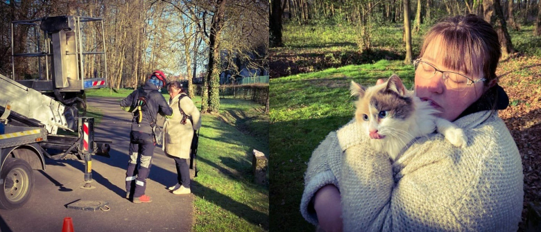 Illustration : "Une femme paniquée de voir son chat coincé dans un arbre du parc reçoit l'aide d'élagueurs"