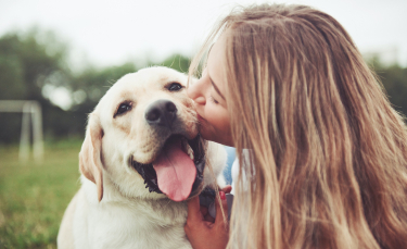 Illustration : "Faire le deuil de son chien"