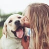 Illustration : Faire le deuil de son chien