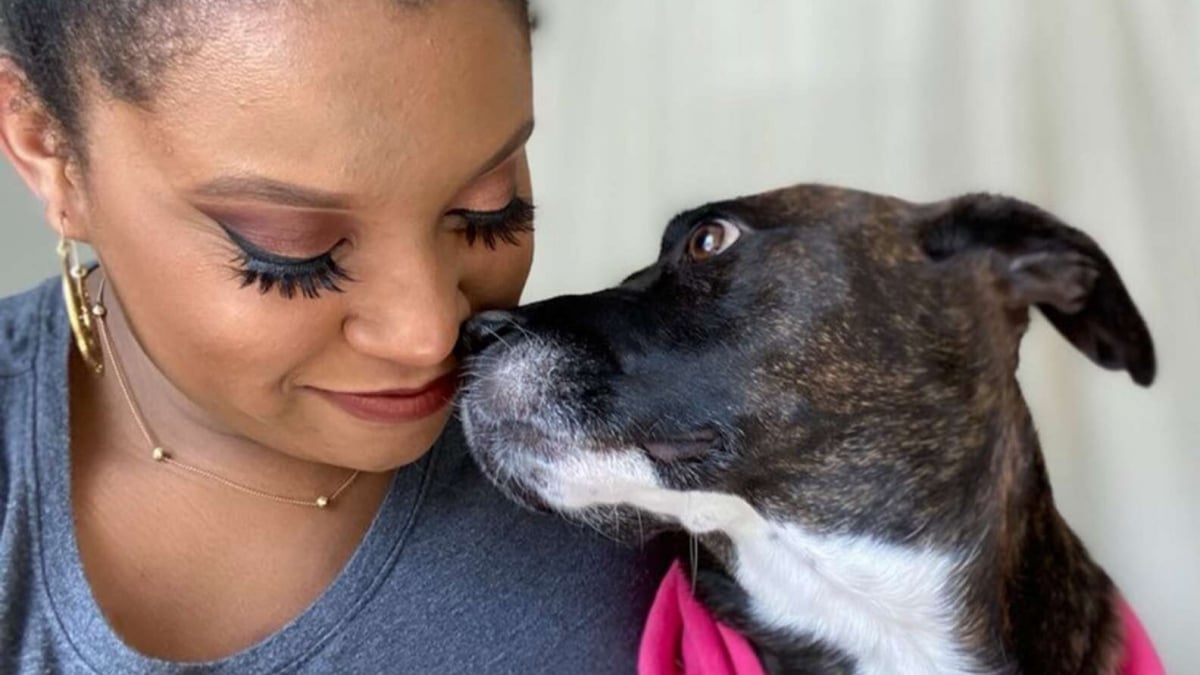 Illustration : "Une femme émue par le regard triste d’un chien maltraité par le passé, tente de lui apporter son aide"